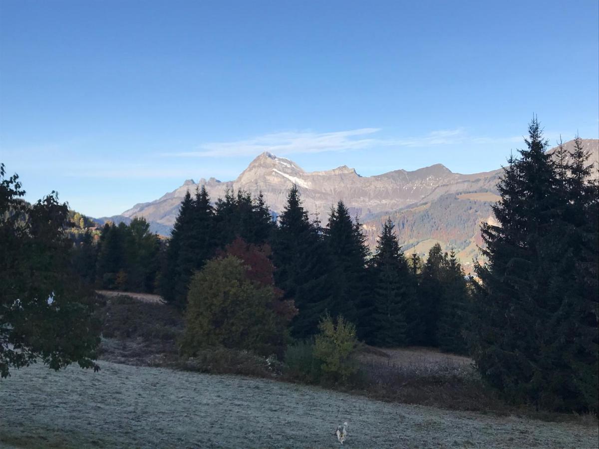 La Ferme Des Georgieres "Sejour En Tout Compris" Notre-Dame-de-Bellecombe Dış mekan fotoğraf