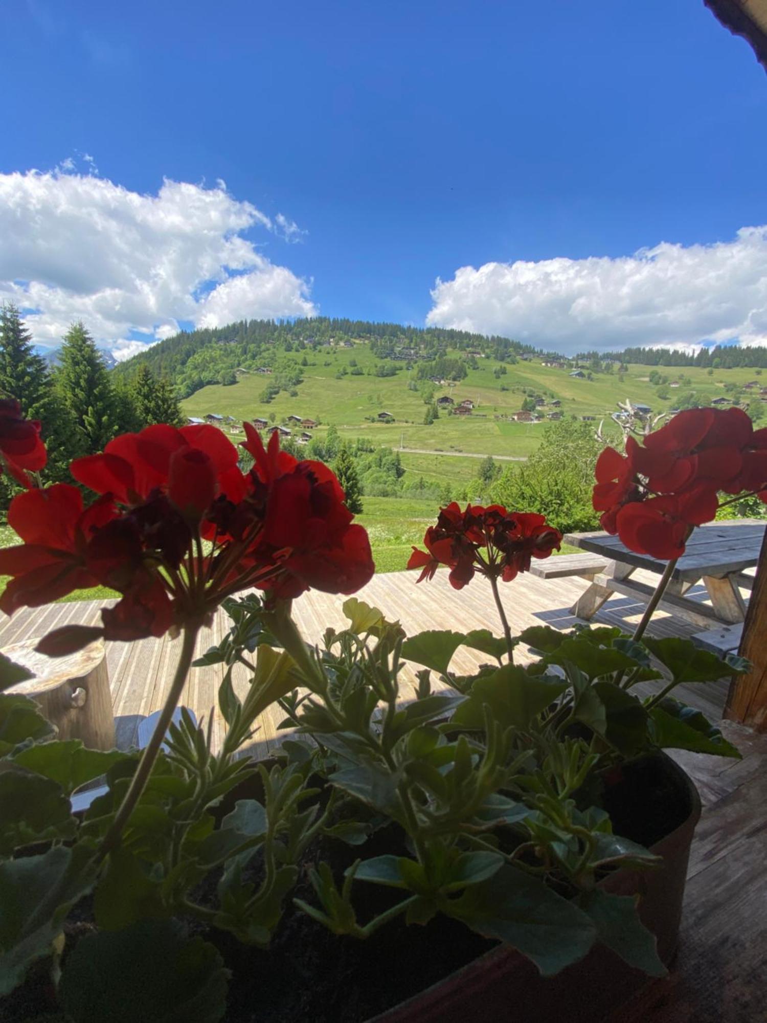 La Ferme Des Georgieres "Sejour En Tout Compris" Notre-Dame-de-Bellecombe Dış mekan fotoğraf
